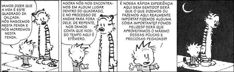 Calvin e Haroldo – Sobre a vida...