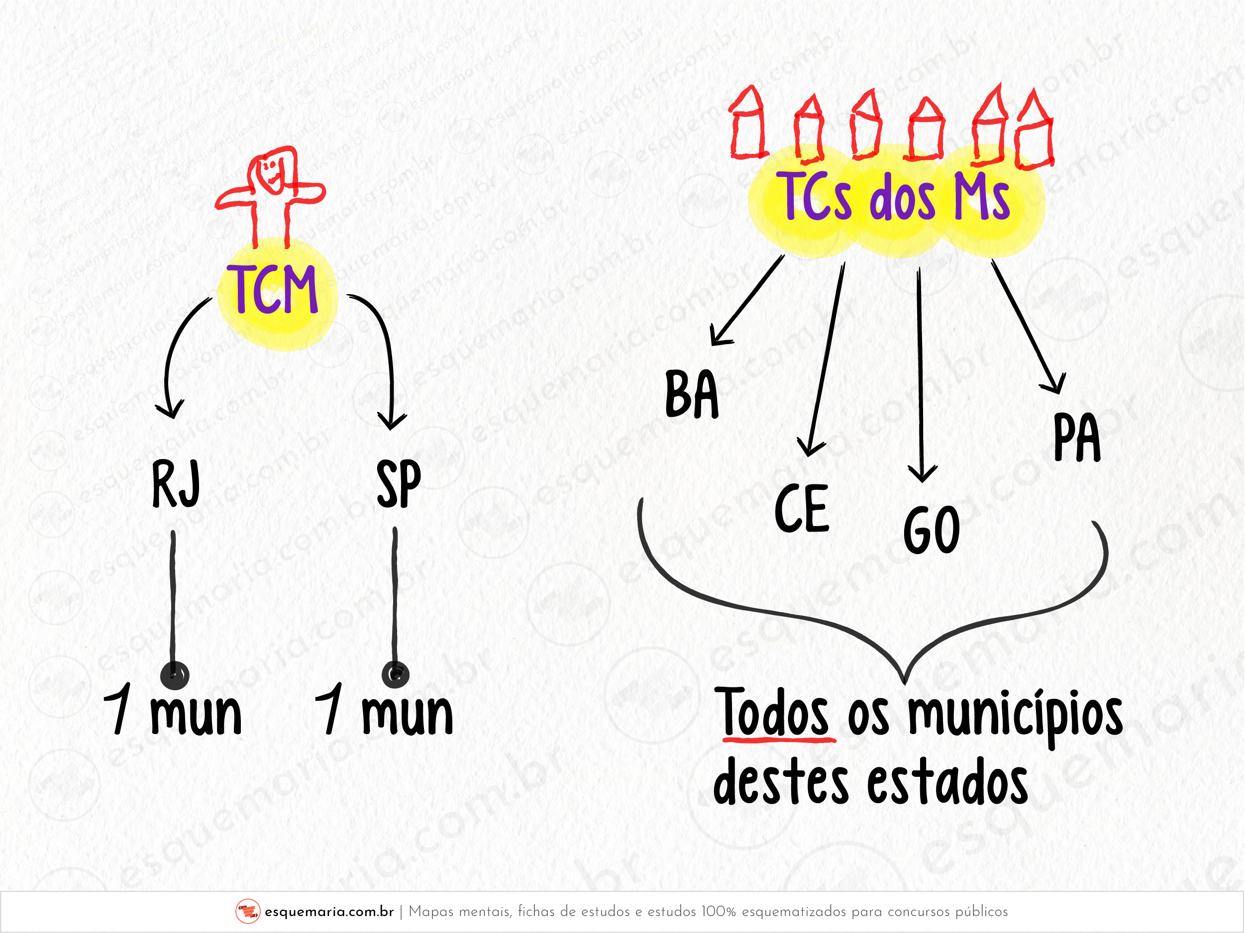 Diferença entre TCM e TC dos M