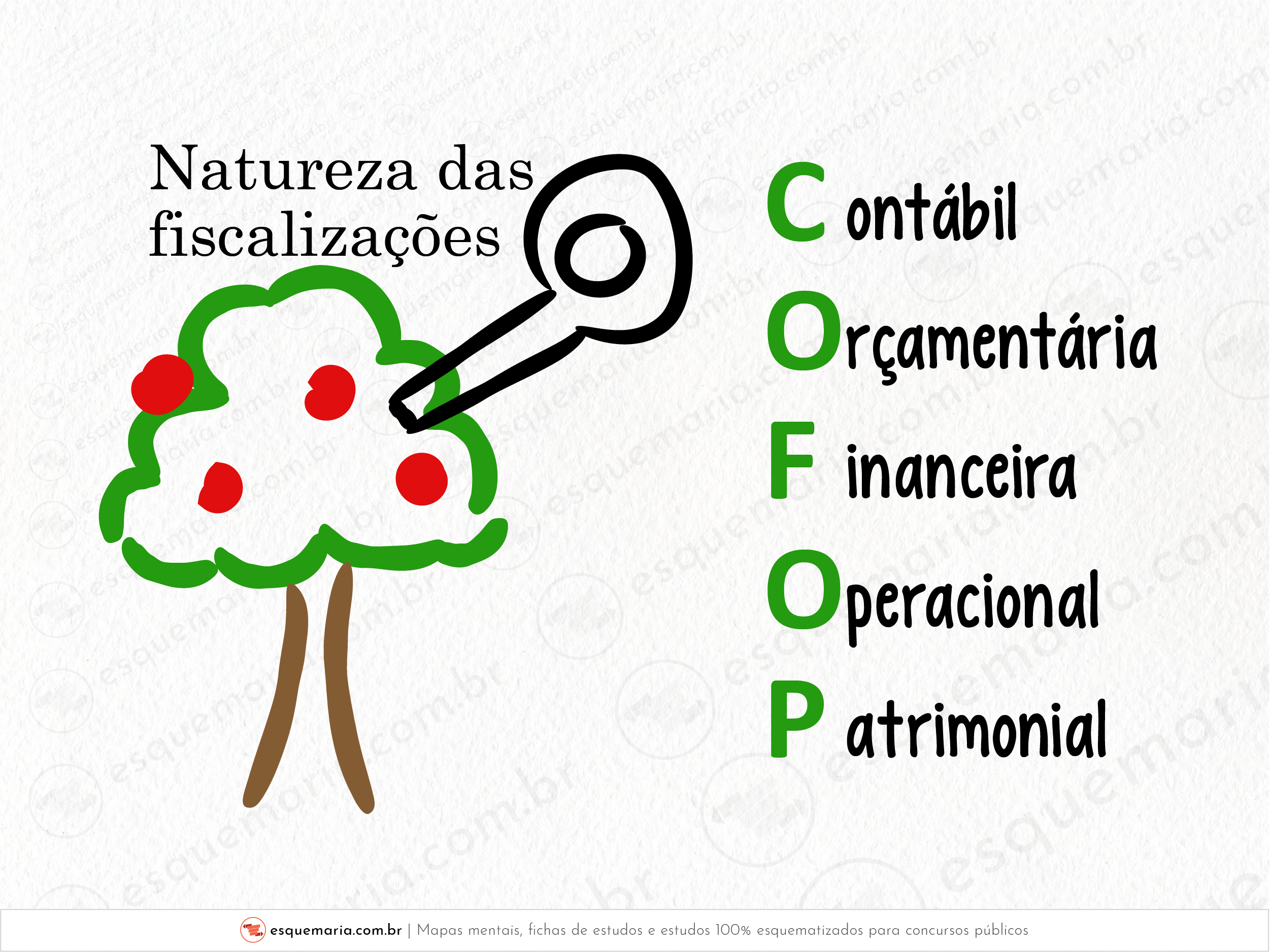 Natureza das Fiscalizações COFOP-01