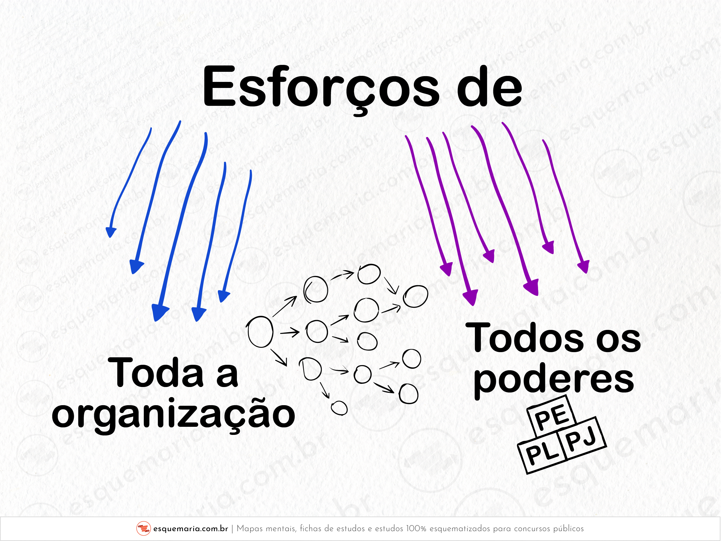 Esforços de toda a organização-01