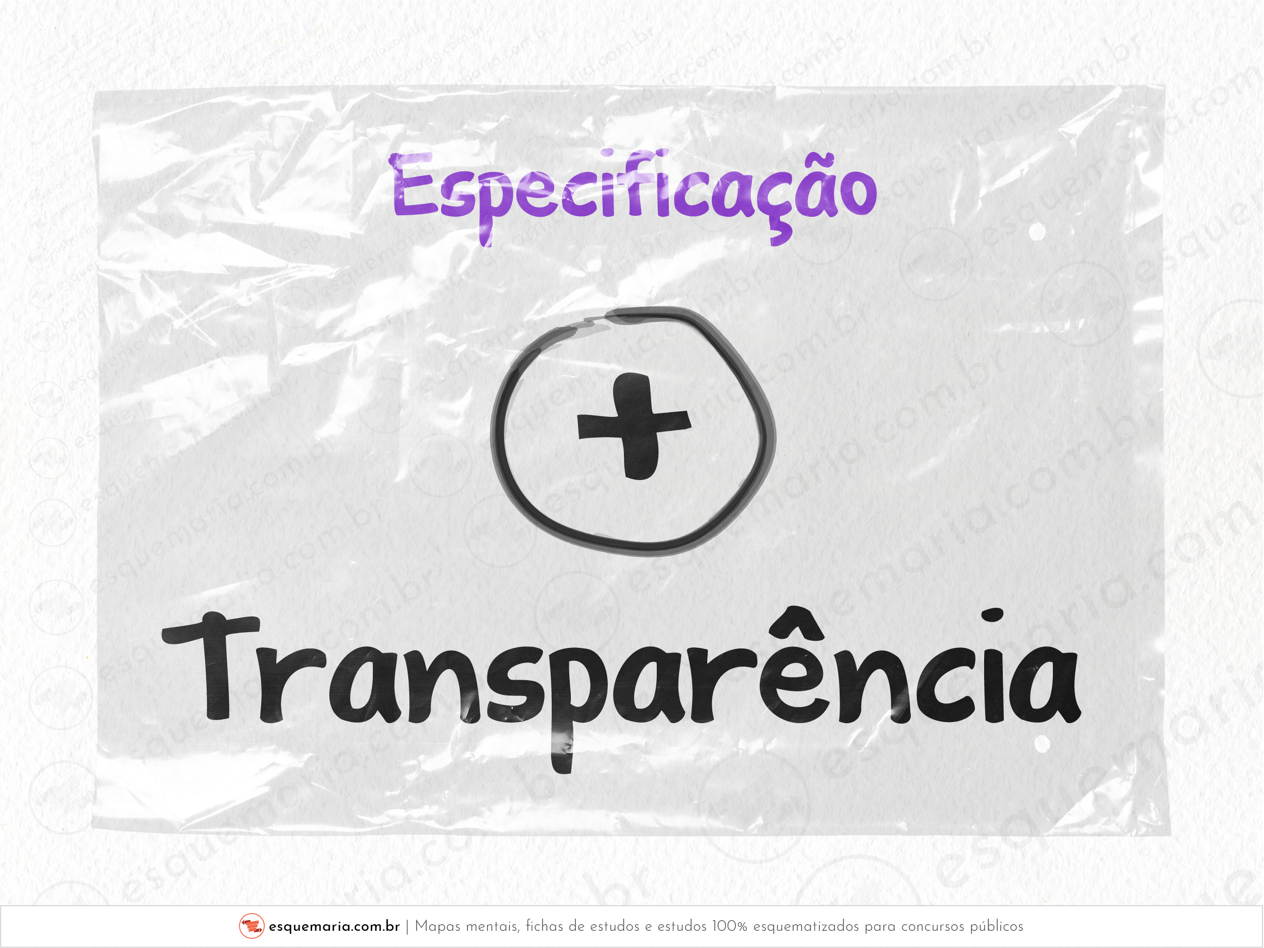 Especificação transparência-01