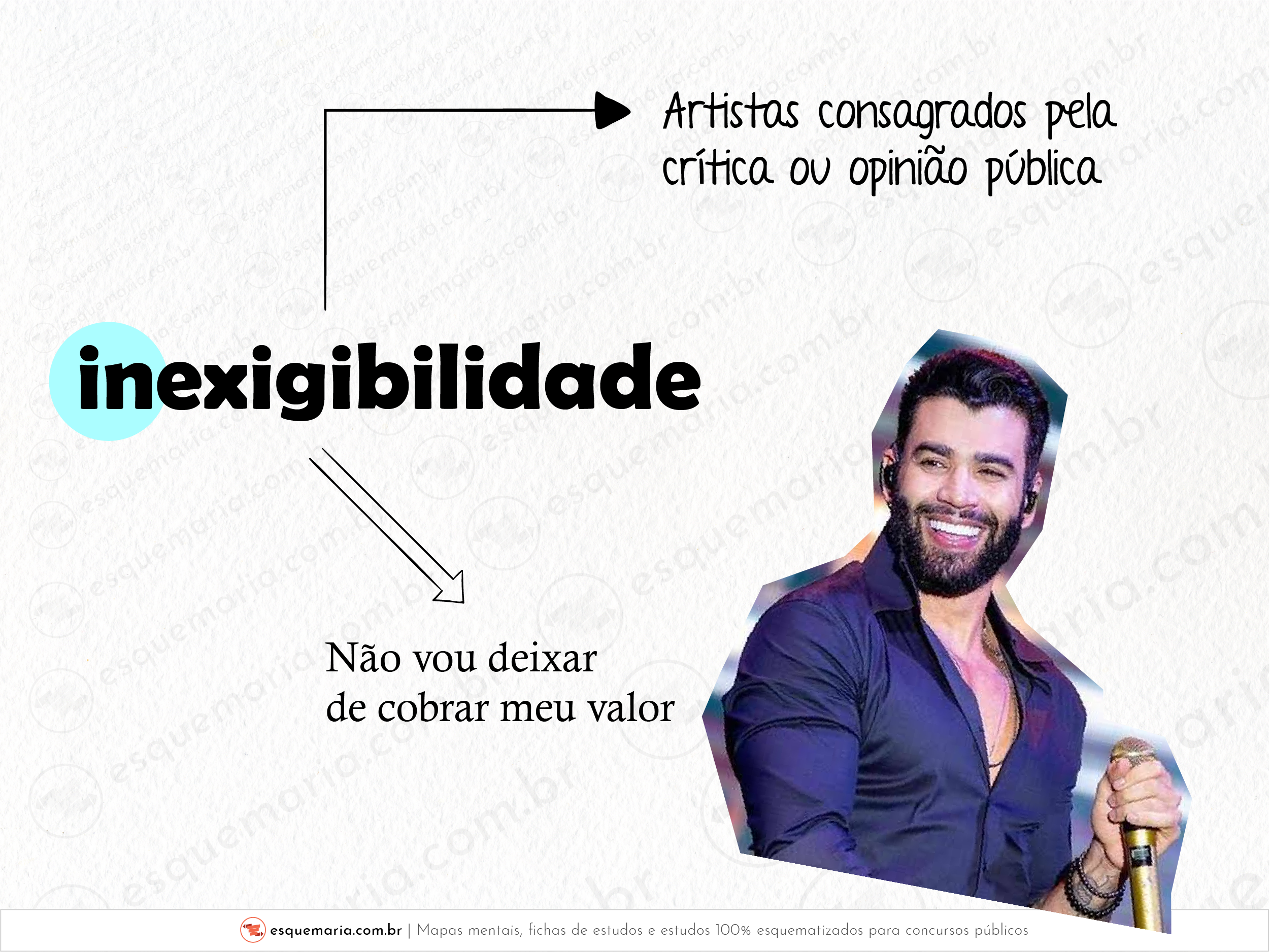 Inexigibilidade - artistas-01