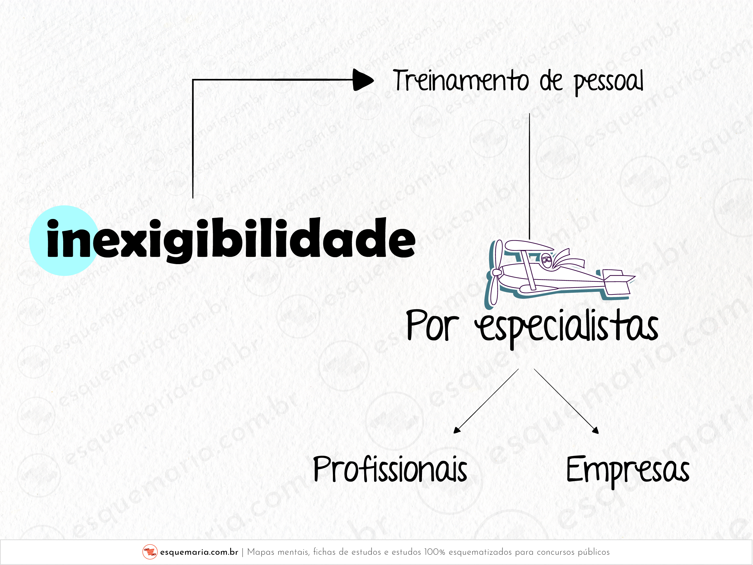 Inexigibilidade - treinamento-01