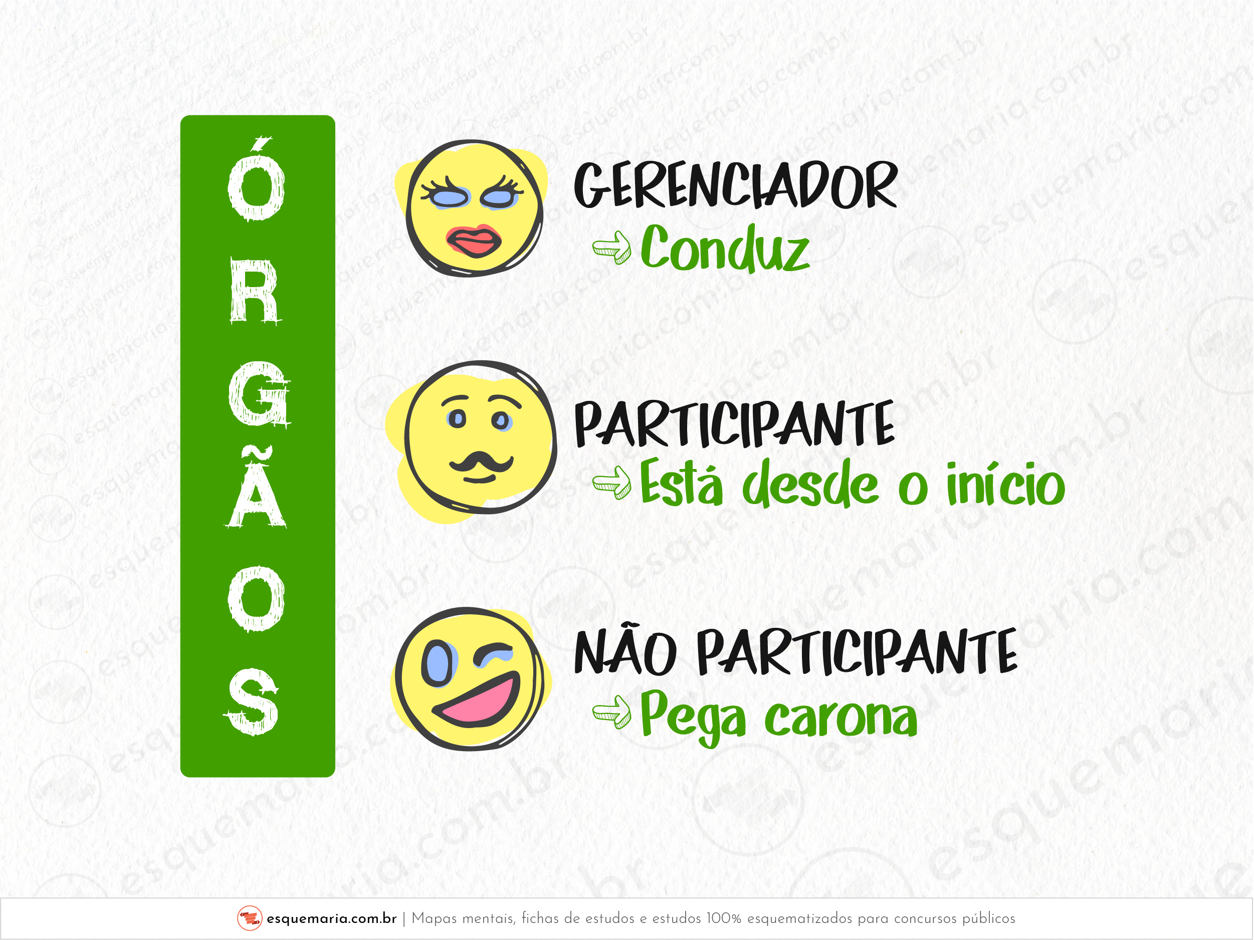 SRP órgãos-01