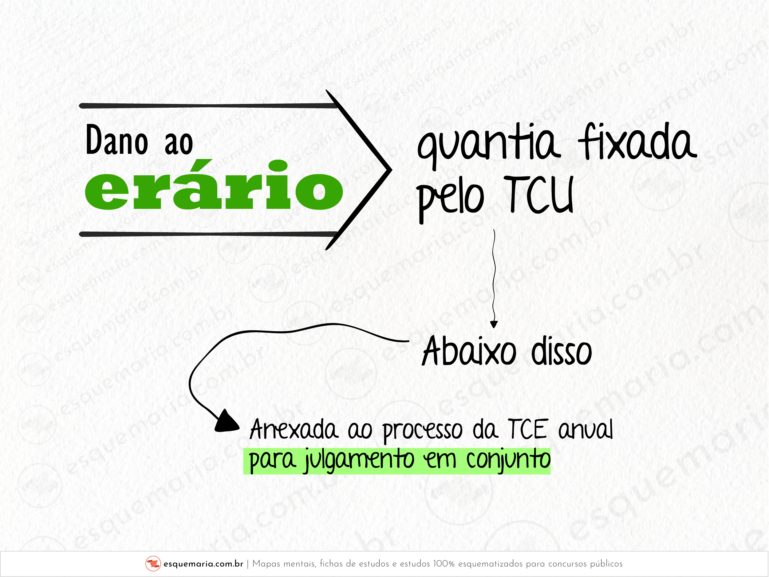 TCE - Dano ao erário - Quantia fixada pelo TCU-01
