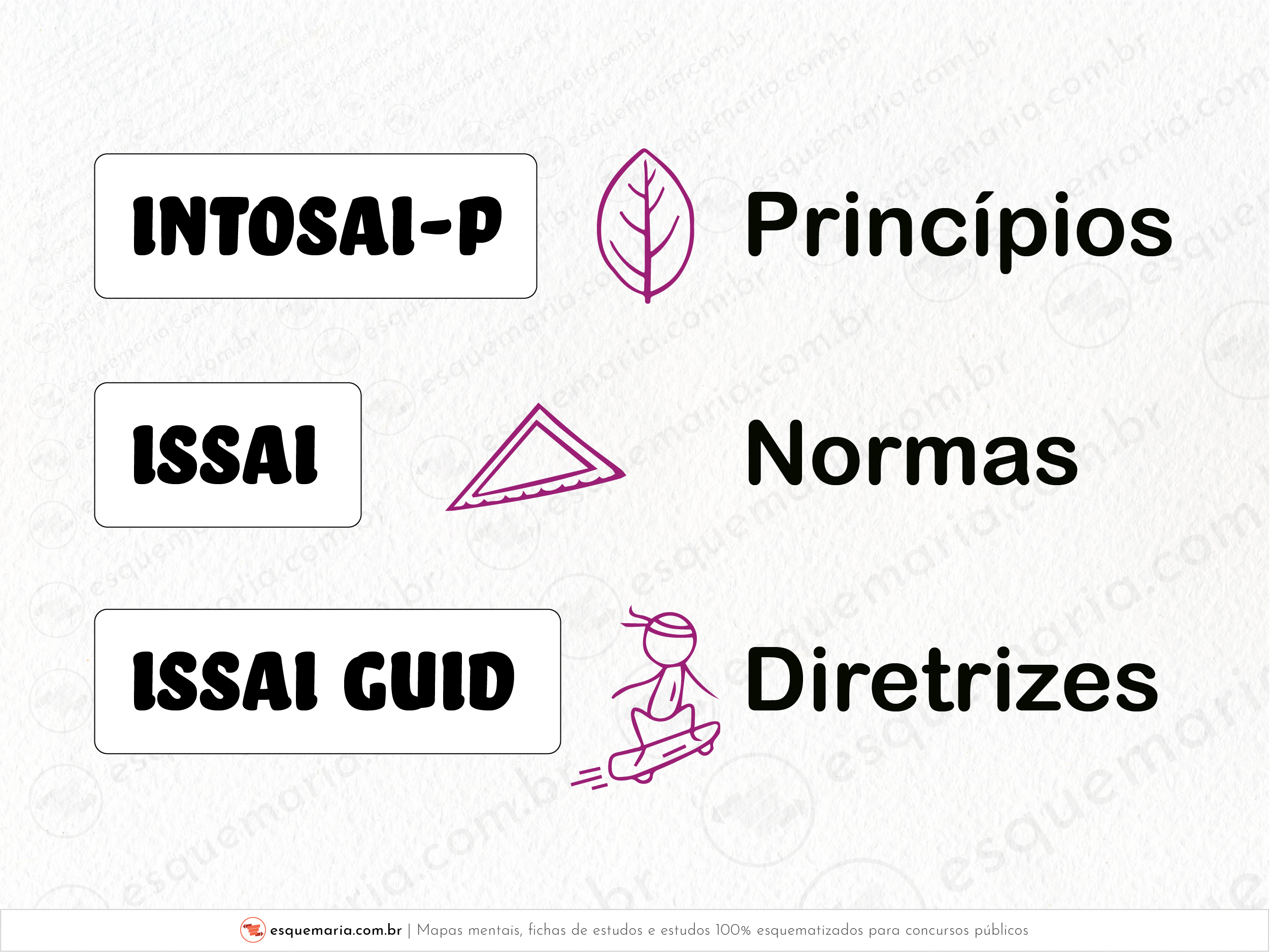 INTOSAI P e ISSAI-01